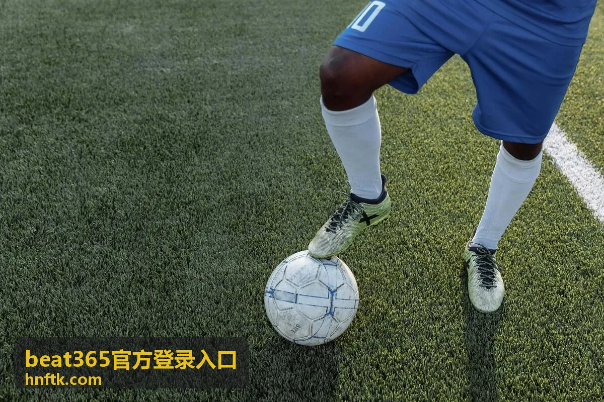 beat365官方登录入口 使用与答疑说明封面